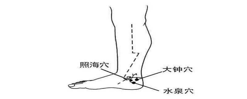 水泉是什么意思 泉的意思是什么意思