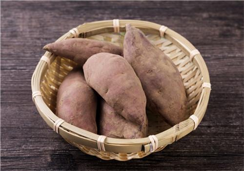 红薯的营养价值 红薯的营养价值及功效与作用