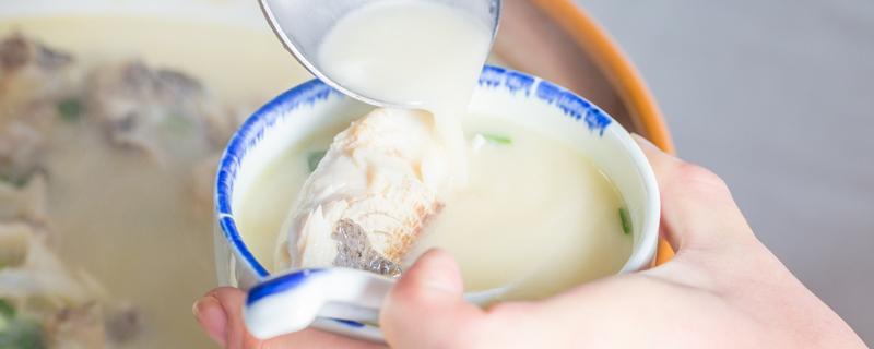 鱼头豆腐汤选哪种鱼头 鱼头豆腐汤选哪种鱼头比较好