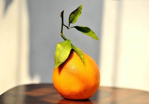 丑橘的营养价值有多少 丑橘的营养价值