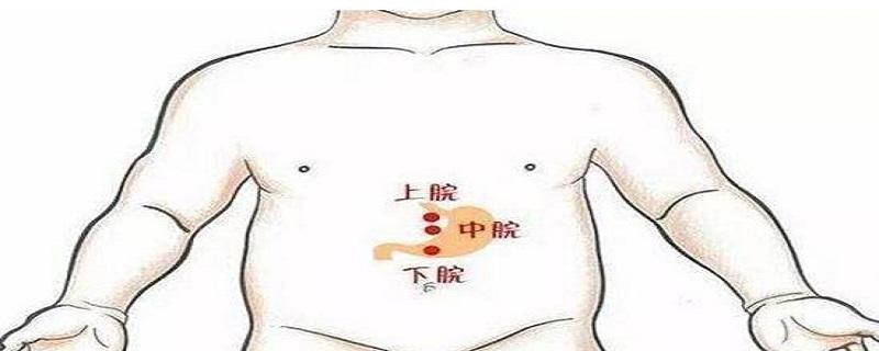 上脘在哪个位置 上脘在什么地方