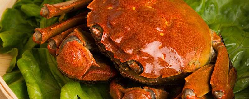 吃螃蟹蘸醋好还是酱油 吃螃蟹是蘸醋还是酱油