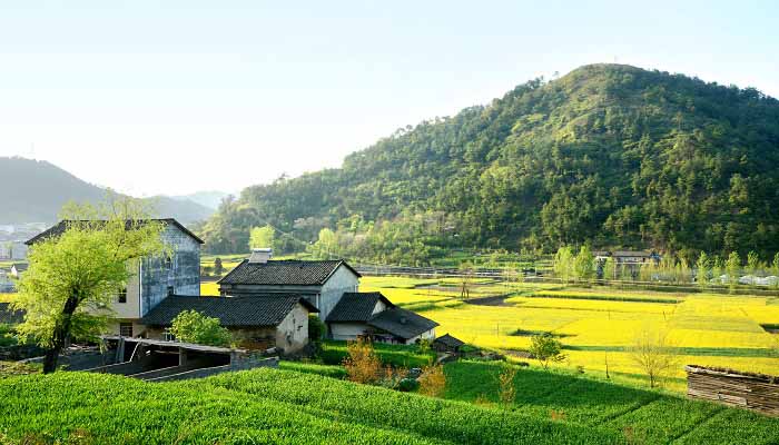 艾青诗选我们的田地赏析 艾青诗选我们的田地怎么欣赏