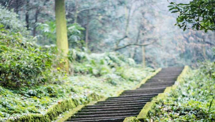 四川峨眉山在哪个市哪个县 峨眉山在哪个省哪个市哪个县 