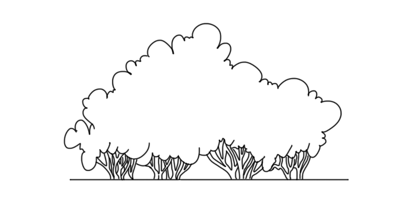 灌木简笔画  灌木简笔画怎么画