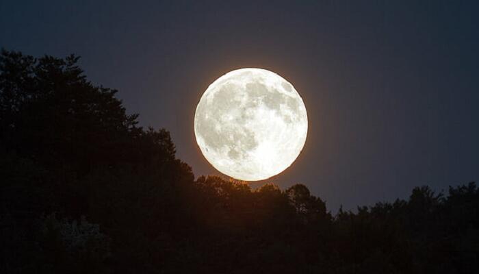 月夜忆舍弟主旨 月夜忆舍弟表达了什么样的思想感情