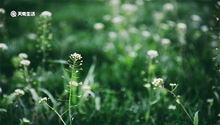 二十四节气的名称是什么 二十四节气名称