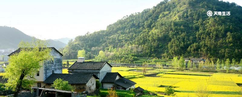 归园田居赏析 陶渊明归园田居赏析