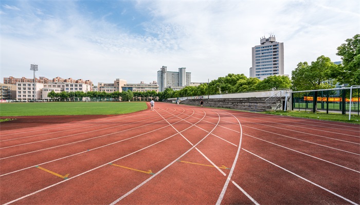 什么是野鸡大学 野鸡大学的意思