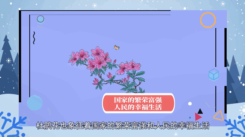 杜鹃花语 杜鹃花语是什么