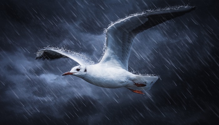 暴雨的说说发朋友圈 下暴雨怎么发朋友圈