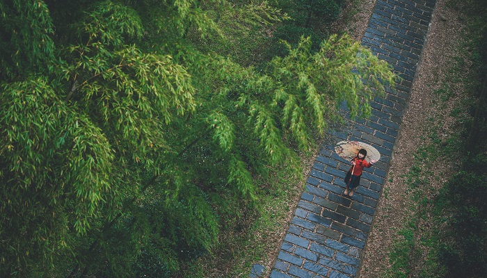 雨霖铃柳永主旨句 雨霖铃柳永主旨句是什么