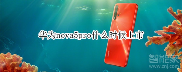 华为nova5pro什么时候上市