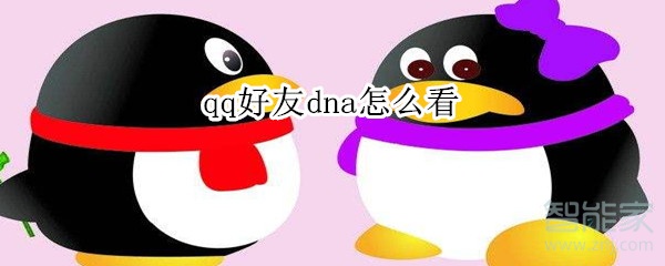 qq好友dna怎么看