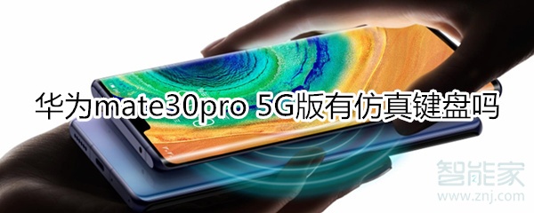 华为mate30pro 5G版有仿真键盘吗