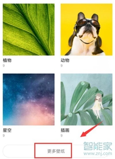 红米note8怎么设置动态壁纸