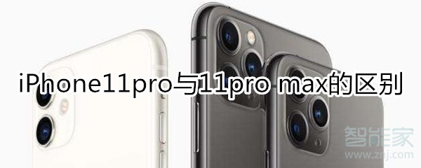 iphone11 pro max 区别