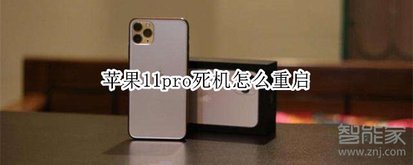 苹果11pro死机怎么重启