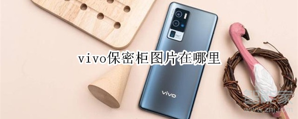 vivo保密柜图片在哪里