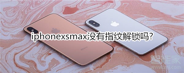 iphonexsmax没有指纹解锁吗?