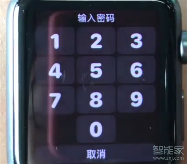 Apple Watch Series 5怎么在手机上设置密码