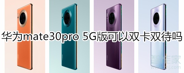 华为mate30pro 5G版支持双卡双待吗