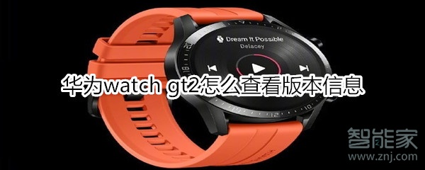 华为watch gt2怎么查看版本信息