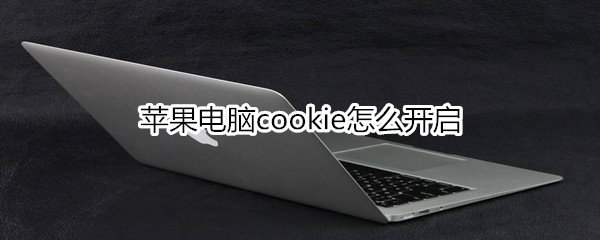 苹果电脑cookie怎么开启