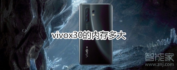 vivox30的内存多大