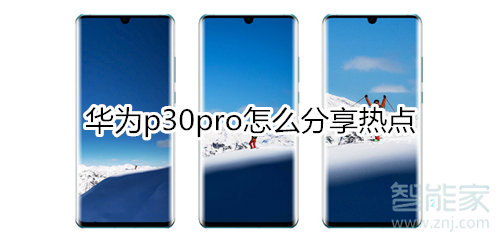 华为p30pro怎么分享热点