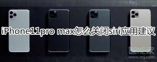 iPhone11pro max怎么关闭siri应用建议