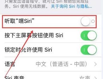 苹果语音唤醒功能在哪