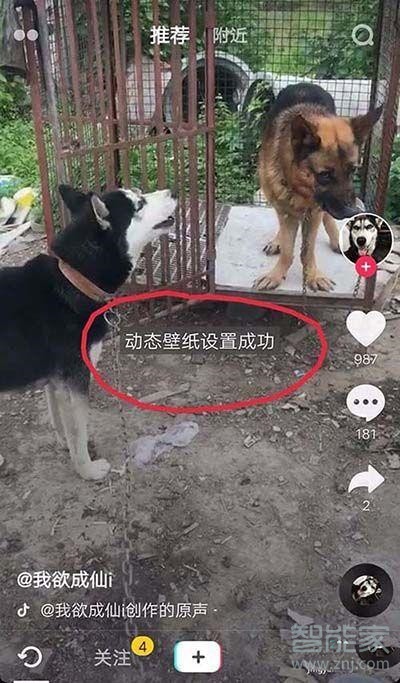 怎么把视频设置成动态壁纸