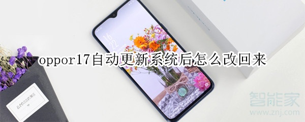 oppor17自动更新系统后怎么改回来