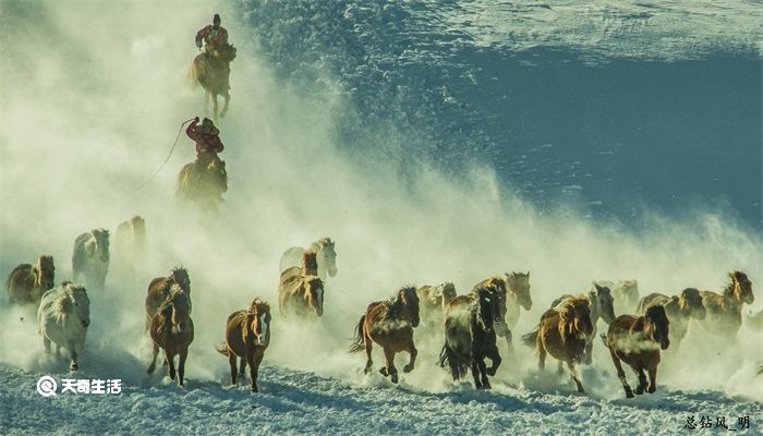 铁勒人是现在什么民族 古代铁勒人是现在哪里