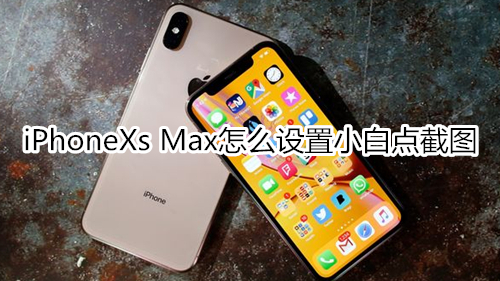 iPhoneXs Max怎么设置小白点截图