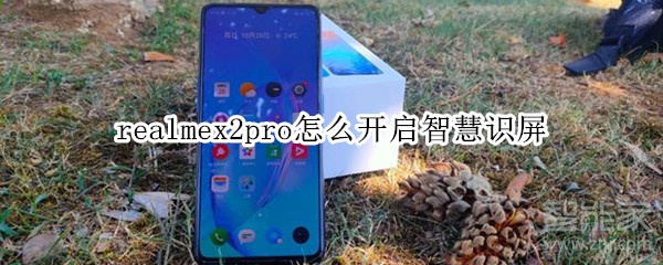 realmex2pro怎么开启智慧识屏