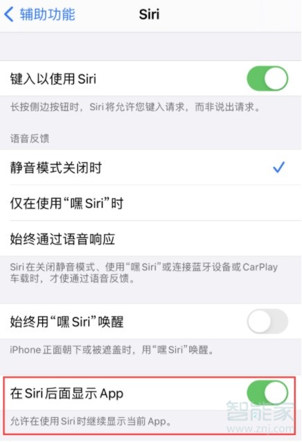 ios14siri怎么设置悬浮