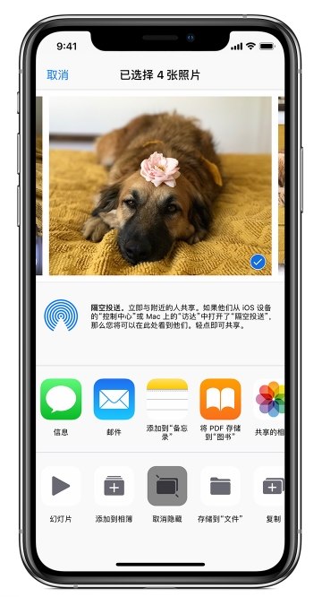 ios13的照片为什么消失了