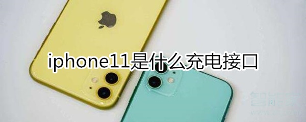 iphone11什么接口