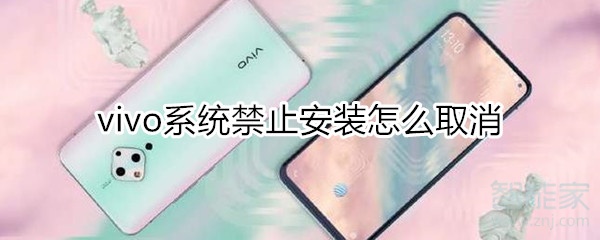 vivo系统禁止安装怎么取消