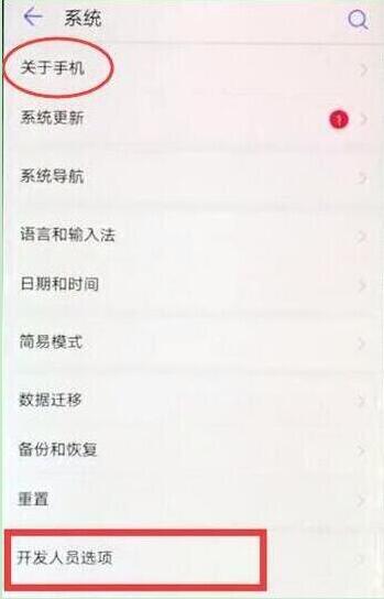 华为畅享9e怎么打开开发者选项