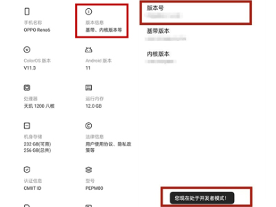 opporeno6开发者选项怎么开启