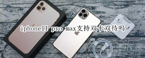 iphone11 pro max支持双卡双待吗