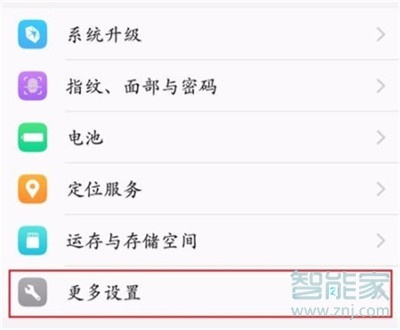 vivo NEX 3s怎么打开开发者选项