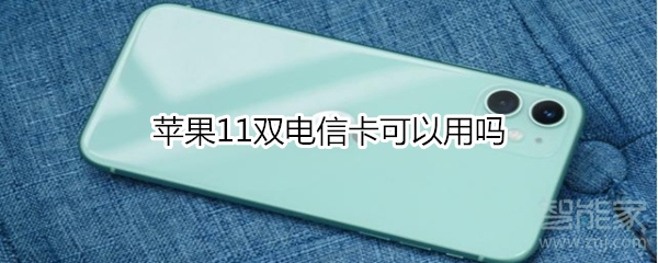 苹果11双电信卡可以用吗