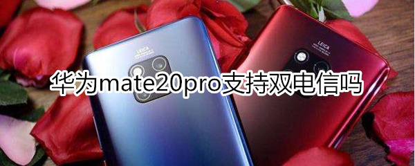 华为mate20pro支持双电信吗