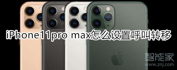 iPhone11pro max怎么设置呼叫转移
