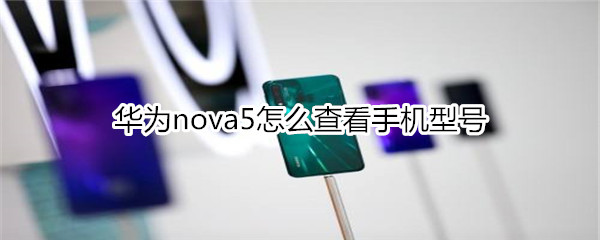 华为nova5怎么查看手机型号