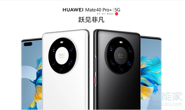 华为mate40pro+什么时候上市